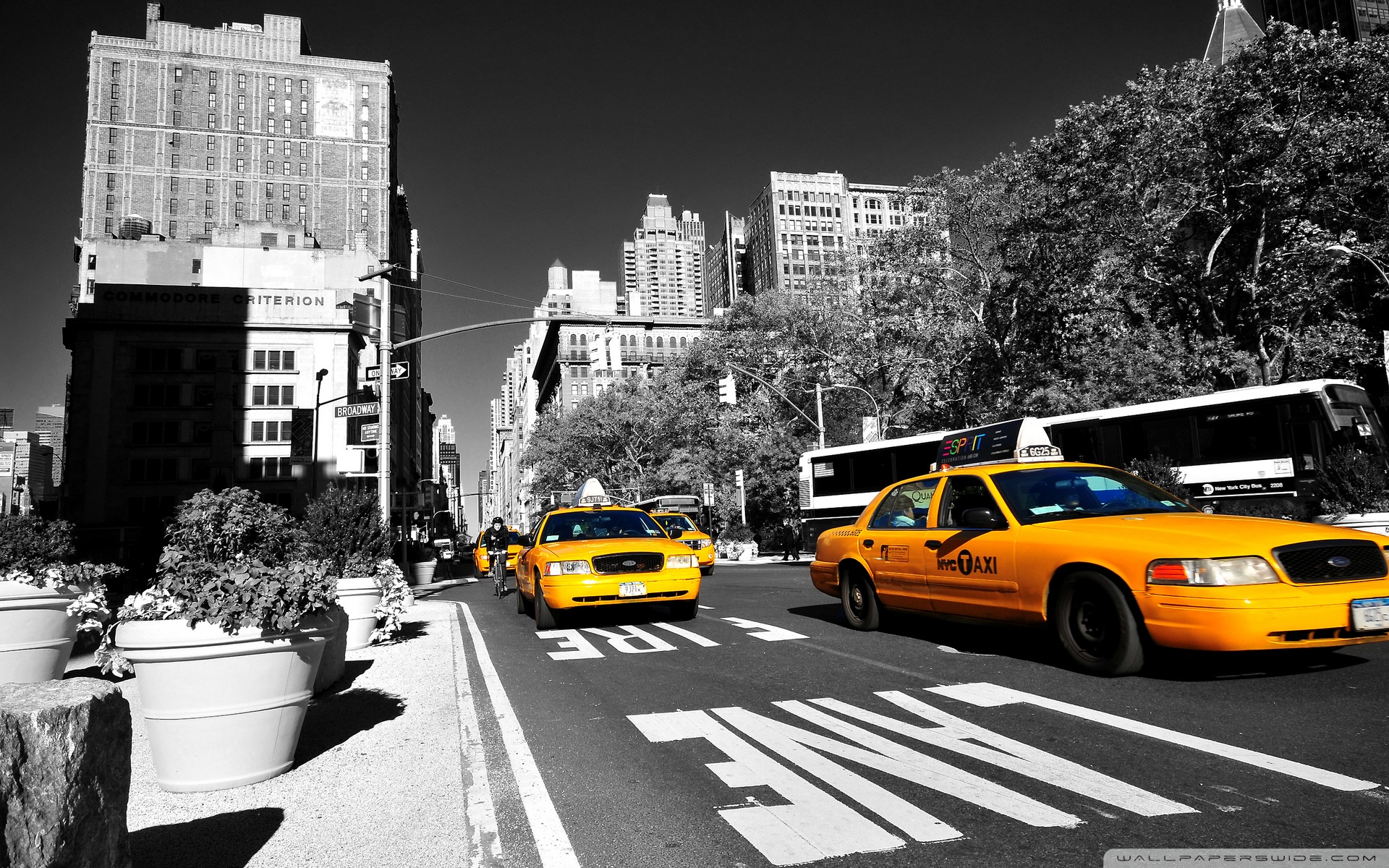 On-Demand Industry