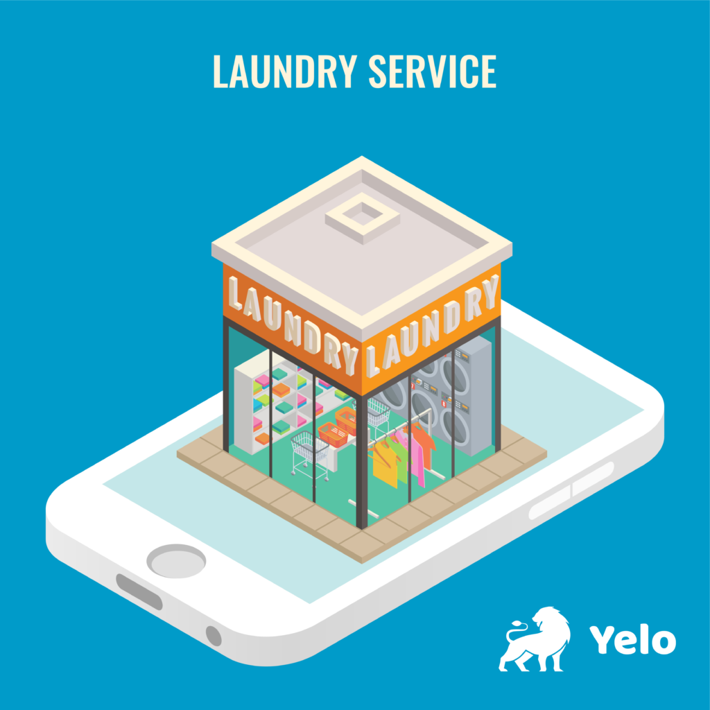 online laundry business